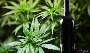wine 2.jpg wine 2.jpg
