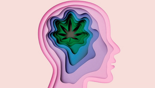 1605812826643.png