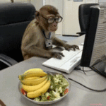 sticker_resized_154x154.gif