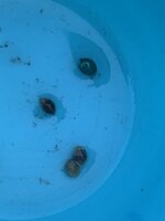 IMG_6997.jpeg