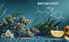 Chto-takoe-A-bisabolol__fur2CXOdm8XColVY.jpg