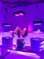 20260129_063957.jpg 20260129_063957.jpg