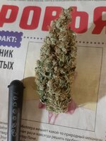 20260215_054537.jpg