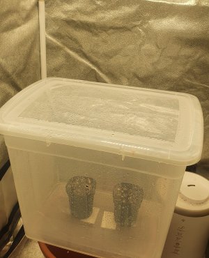 20221225_194818.jpg