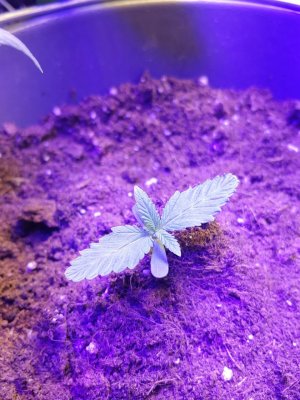 IMG_20230101_144849_938.jpg