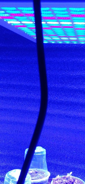 20211218_075743.jpg