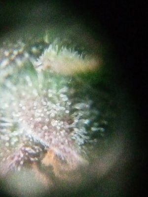 IMG20230920131746.jpg