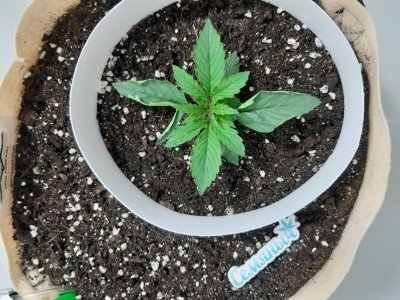 20231015_085925.jpg 20231015_085925.jpg
