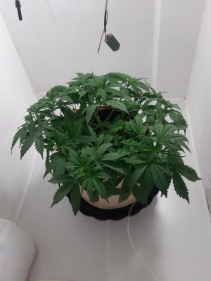20231019_195110.jpg 20231019_195110.jpg