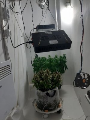 20231022_110138.jpg 20231022_110138.jpg