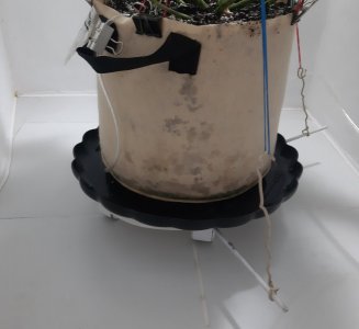 20231027_221051.jpg 20231027_221051.jpg