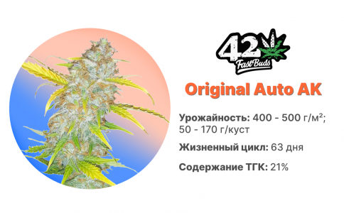 Original Auto Ak