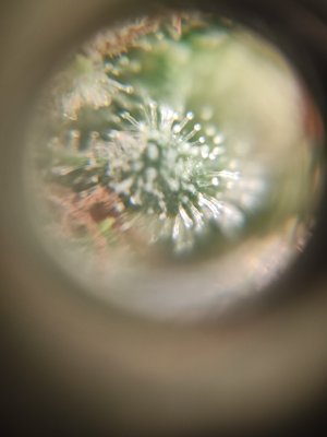 cleaned_IMG20240615213215.jpg