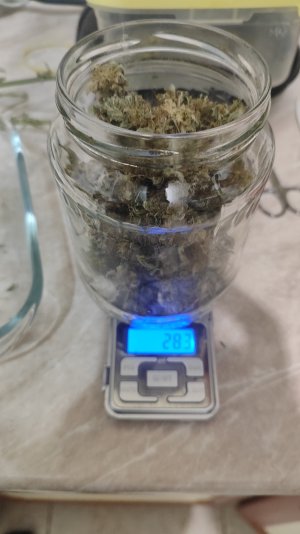 1000021004.jpg
