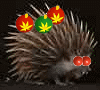 file.gif.a50fea804fdc988096c940863dc78b35.gif